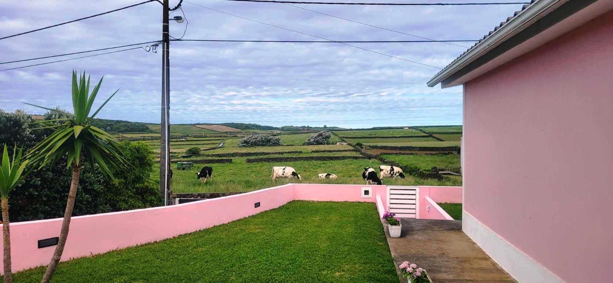 The Music House Leilighet Praia da Vitória Eksteriør bilde